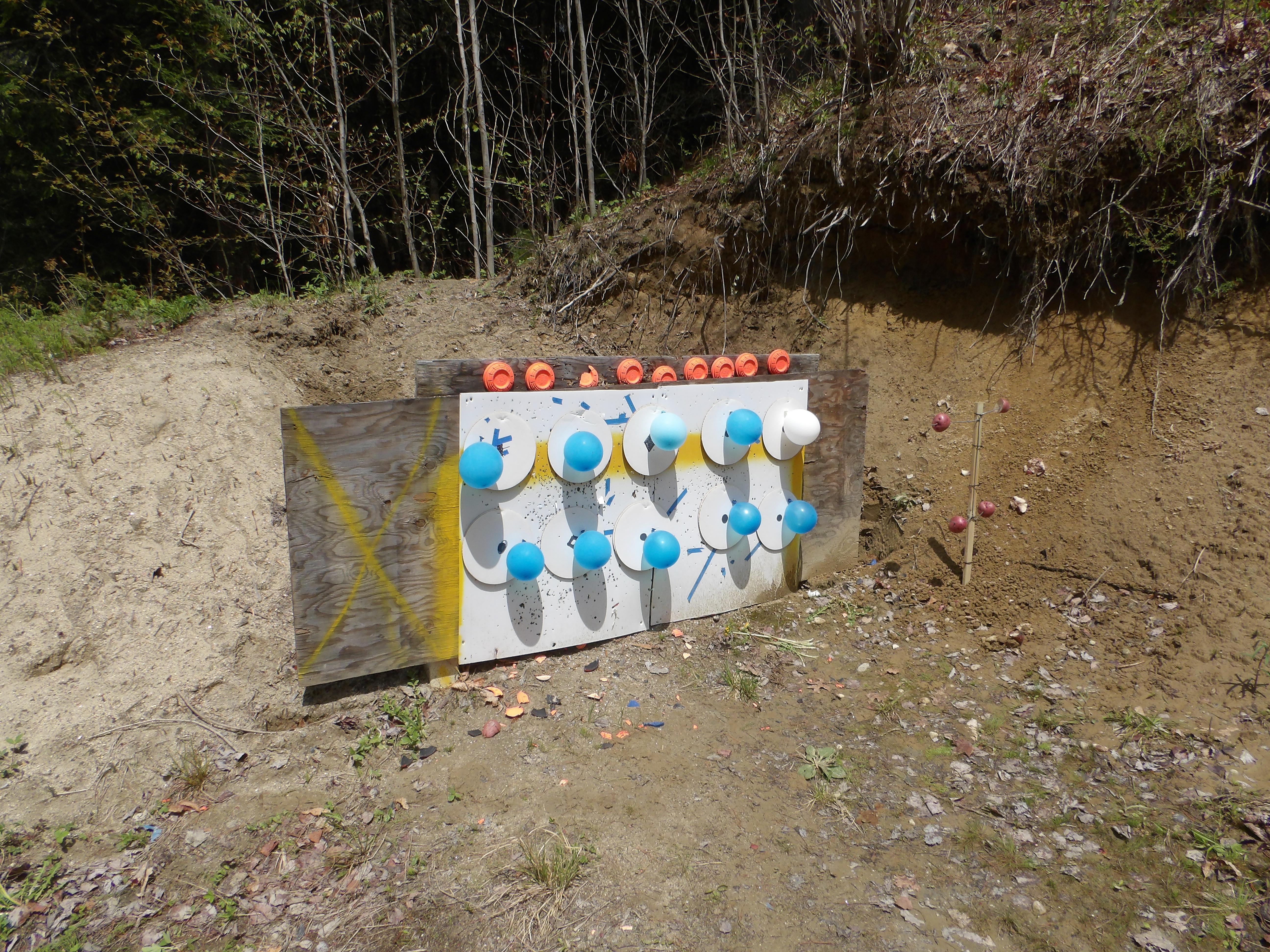 Woman on Target image target